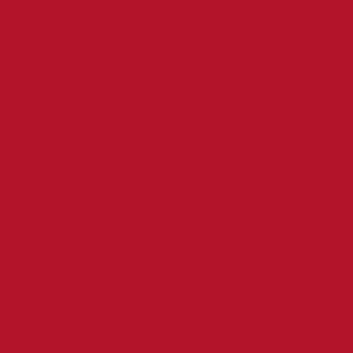 [RED COOKIES] GLOW WATER WRAP TINT 4.5g