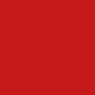 [RED COOKIES] GLOW WATER WRAP TINT 4.5g